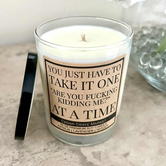 Premium 10 oz. Soy Candle; Humorous Label; (Citrus, Woodsy, Lavender) - Picture 1 of 4